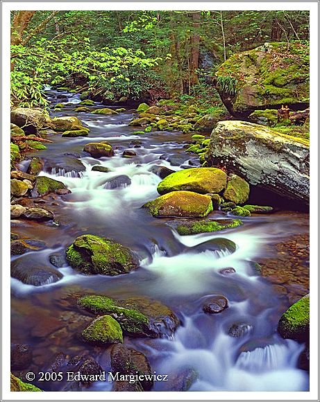 450365B   Rapids along the Roaring Fork motor trail, SMNP